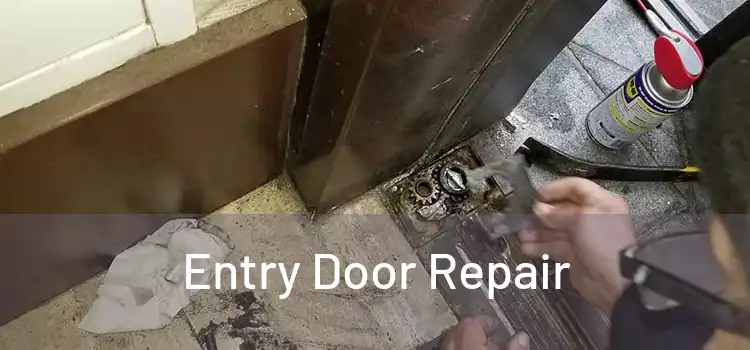  Entry Door Repair 